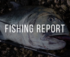 FISHING REPORT