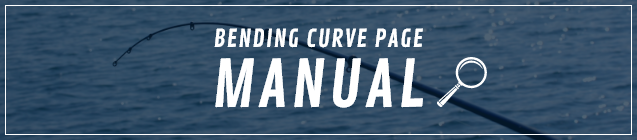 BENDING CURVE PAGE MANUAL