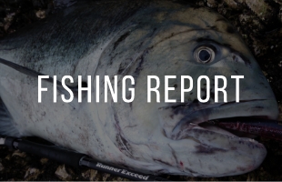 FISHING REPORT