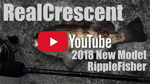 RealCrescent /2018 New-Model