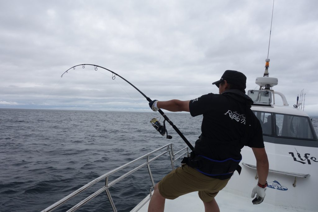 Ripple Fisher Ocean Ridge Big Tuna Popping Rod
