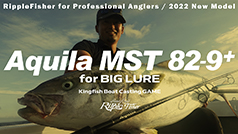 Aquila MST 82-9+ / Big Lure Kingfish Game