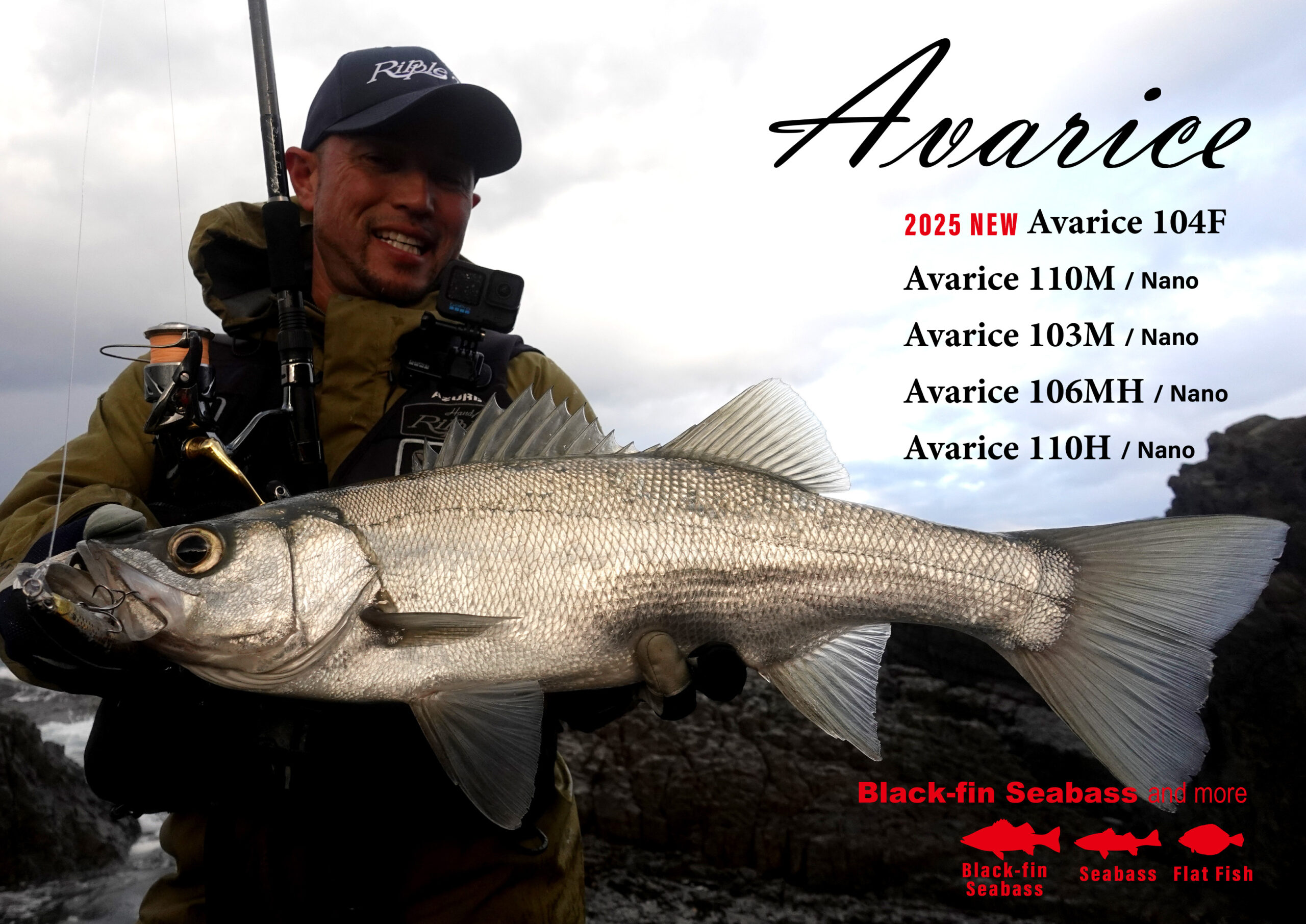 Avarice / Black fin Seabass