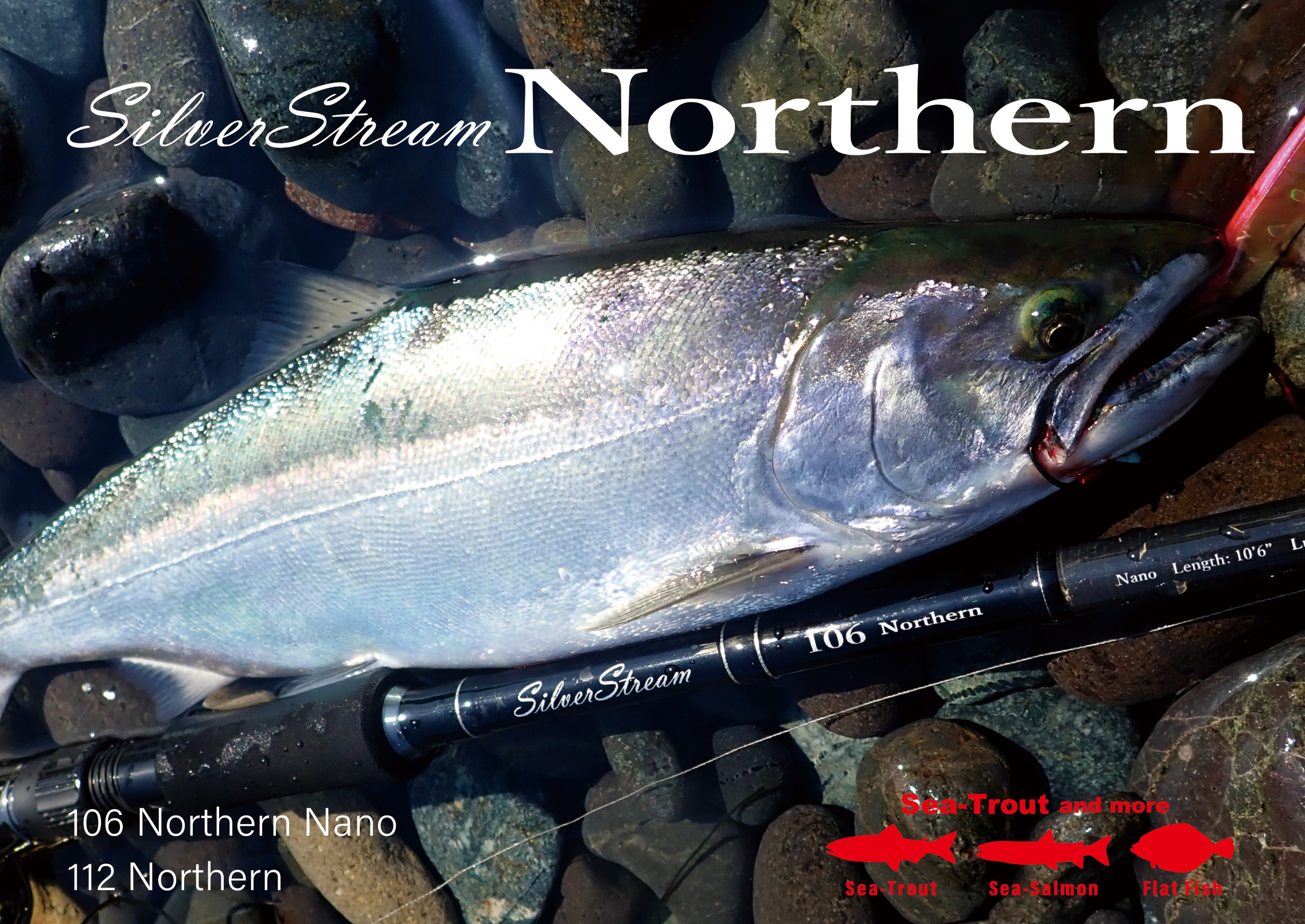 SilverSteam Northern