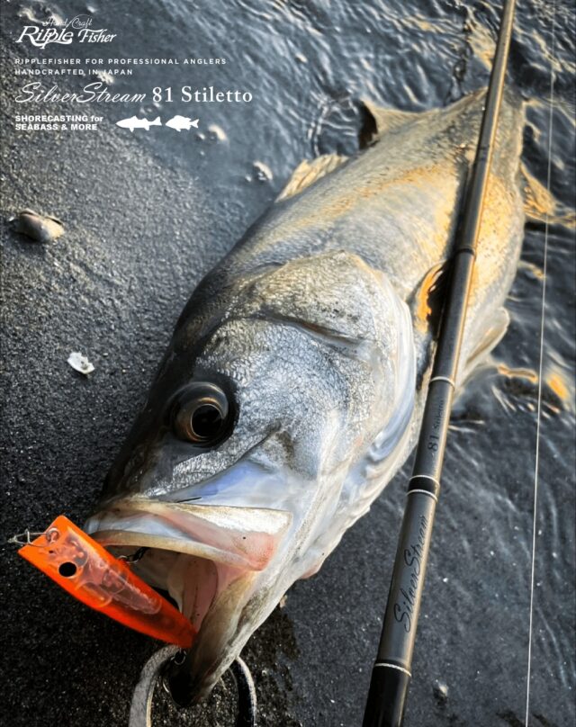 激安！特価品 RippleFisher ロッド