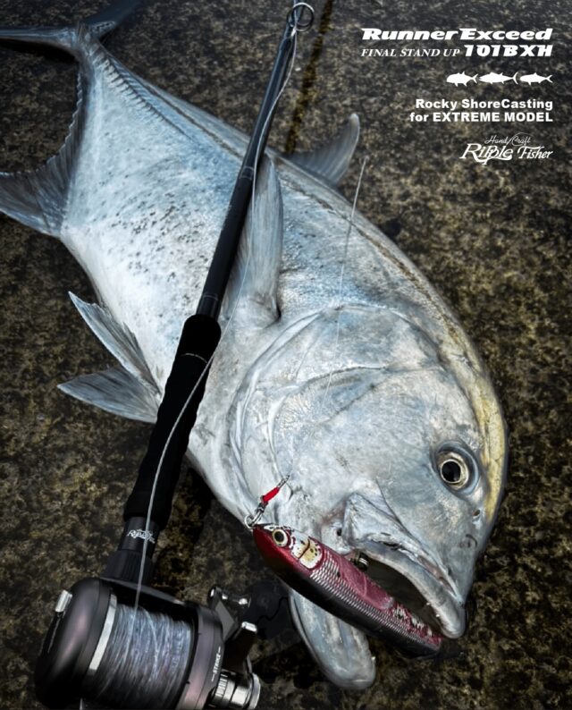 RippleFisher