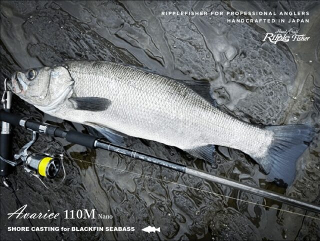 RippleFisher
