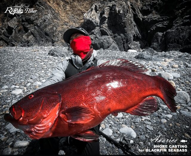 リップルフィッシャー フロウズ 102 RippleFisher