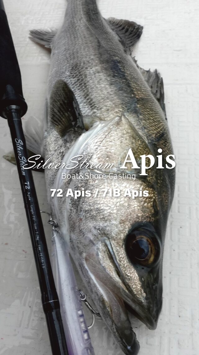 RippleFisherリップルフィッシャー