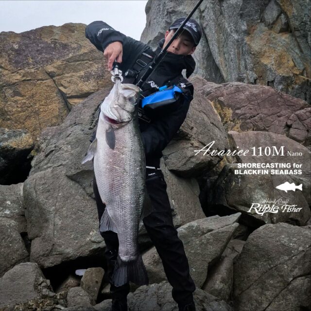 RippleFisherリップルフィッシャー