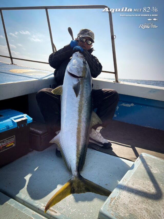 RippleFisher
