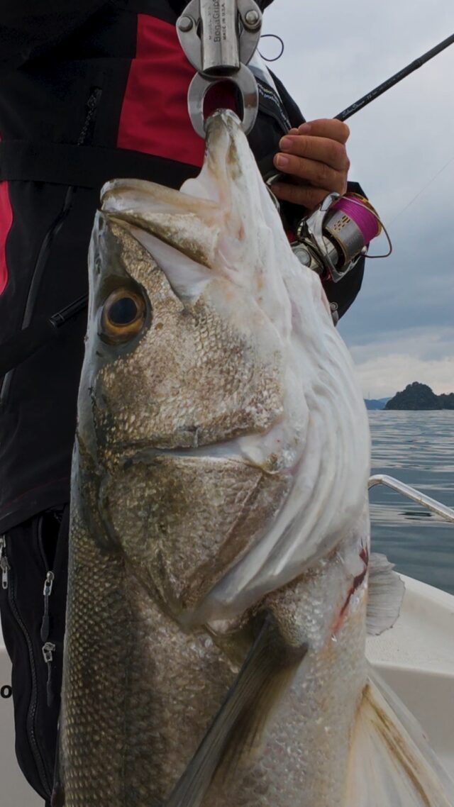 RippleFisher