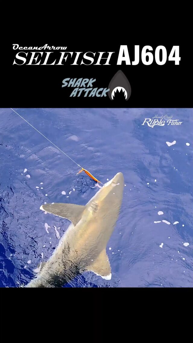 RippleFisher